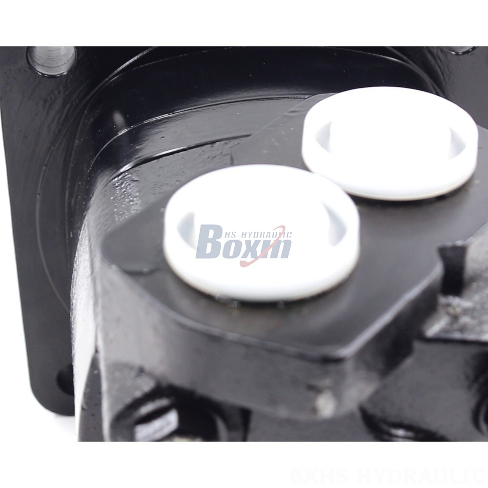 BM6W Cycloid Hydraulic Motor - 310cc/r - 150Lpm - Factory Supply detail image